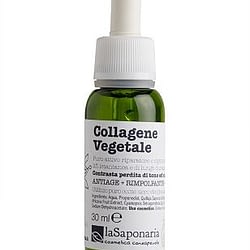 Collagene vegetale La saponaria