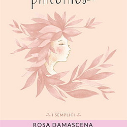 rosa damascena phitofilos